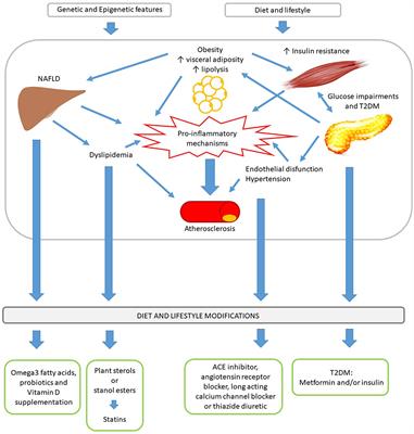 Treatment of Metabolic Syndrome in Children